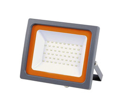 PFL -SC- 30w 6500K IP65 (матовое стекло) Jazzway