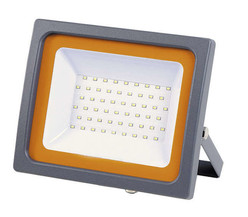 PFL -SC- 50w 6500K IP65 (матовое стекло) Jazzway